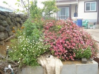 제주올레 12코스 (무릉2리 제주자연생태문화체험골-용수포구 -절부암) / 춤쟁이 - 춤쟁이 제주 올레길 - 댄스매니아들 제주올레 12코스 (무릉2리... 