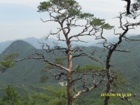 대청산악회:정기산행&하기수련회.안내 - 정기 산행안내 - 대전대청산악회 대청산악회:정기산행&하기수련회.안내