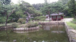 종묘 - 국내답사 - 박선생창의역사지리교실 대구북구서구지사 종묘
