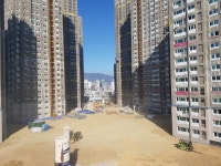 나무식재 - 계약자 Q&A 게시판 - 연제 롯데캐슬&데시앙 입주예정자 모임 나무식재