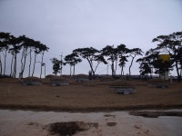 2010. 2. 14. 광주-장성-대산(고창)-광주 귀성길 여행 후기 - ⓐ 철도외 공공교통 - Rail+ 철도동호회 2010. 2. 14. 광주-장성-대산(고창)-광주... 