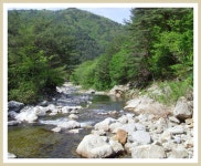 제10회 아침 가리골을 따라 이어진 계곡 트래킹 - 산행일정 및 신청방 - 평택 산누리 산악회 평택 산누리 산악회