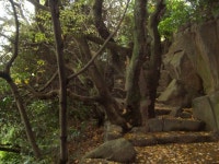 제주 올래12코스 2 수월봉, 당상봉과 절부암/ 춤쟁이 - 춤쟁이 제주 올레길 - 댄스매니아들 제주 올래12코스 2 수월봉, 당상봉과 절부암/ 춤쟁이