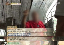 [TV동물농장] 동물농장에서 방송된 인천의 한 개 도축장의 현실.jpg... 곳) [TV동물농장] 동물농장에서 방송된 인천의 한 개 도축장의 현실.jpg