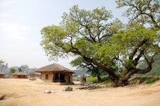 똥센짐승들의 영역표시 하는짓, - 역사 갤러리