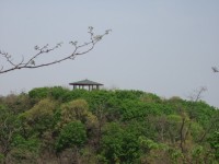 산행기 - 한남정맥 3회차 종주 산행기(비루고개~목감 사거리)