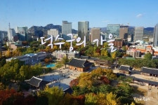 서울 정동전망대에서 느끼는 덕수궁의 단풍