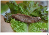 [광진 맛집] 가격 부담없이 질좋은 한우를 배터지게 먹을 수 있는 <한우천하통일> - 건대(광진) 지역 추천맛집 한우천하통일 후기