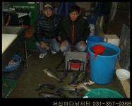 서신 바다낚시터 3월31일 조황정보 입니다