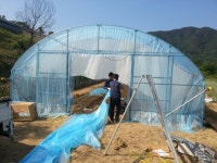 비가림.차광 완료사진2015.5.30 - 농막,지하수,비닐하우스 - 꽃과나무 농장 (주) 임해원 비가림.차광 완료사진2015.5.30
