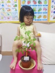 유주네 토마토가 그만...... - 소통공간 - 정관미소어린이집 유주네 토마토가 그만......