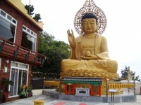 제주 올래11코스 - 춤쟁이 제주 올레길 - 댄스매니아들 제주 올래11코스