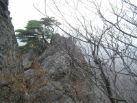 내장산 등산 /사슴목장, 서래봉, 불출봉, 망해봉, 연지봉, 까치봉 내장사 코스 2 / 춤쟁이 - 춤쟁이 사찰탐방 - 댄스매니아들 내장산 등산 /사슴목장... 