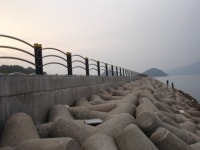 맥전포 방파제에서 감시와의 춤을...