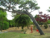 ♣부산 두구동 수림농원2 ♣ - 열린 방 - 부산 성동초등 동문카페 ♣부산 두구동 수림농원2 ♣