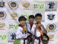 2017 전국 무술축제 메인시범 정말 끝네주네요/봉담태권도/동화마을태권도/경희대함태권스쿨 /동화초/와우초/상봉초/봉담초 - 사진앨범... 