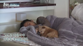 효리네 민박 강아지들 어느새 하나둘 이효리옆에서 자고있어 ㅋㅋㅋㅋ... 효리네 민박 강아지들 어느새 하나둘 이효리옆에서 자고있어 ㅋㅋㅋㅋ