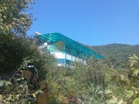 박물관 근황3 - 카페 앨범 - 수안보곤충박물관&동물교감-놀이치유농장 박물관 근황3