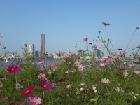 63빌딩 - 카페 앨범 - 청암자이 63빌딩