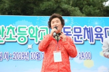 체육대회16 - 동문 사진방 - 춘천 금산초등학교 총동창회 체육대회16