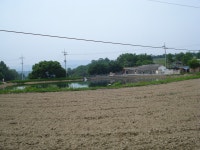 오월은 푸르구나아 - ,·´″°³о♡ 자 유 게 시 판 - 의성 하늘채 농장 오월은 푸르구나아