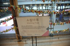 인천공항 & 무의도 & 실미도 여행 1 - 능주 54 게시판 - 호모 데우스 인천공항 & 무의도 & 실미도 여행 1 