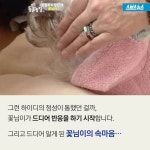 동물과의 교감, 동물농장 꽃님이 - 인스티즈(instiz) 이슈 카테고리 동물과의 교감, 동물농장 꽃님이