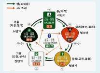 음양오행과 업종분류 - 기학사상 - 한민족역사정책연구소 음양오행과 업종분류