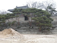 석단과 화계의 차이가 궁금합니다. - 무엇이든 물어보세요 - 조경... 문화재수리·수목보호 프로 되기!! 석단과 화계의 차이가 궁금합니다.