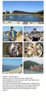 ☆서울바다 낚시터 소개☆ - ―·····서울바다낚시터소개 - 대부도 서울바다낚시터 ☆서울바다 낚시터 소개☆