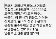 ■비석 선영내 웃밭 - ♪일반게시판♬ - 지구주인 멧돼지 고라니판... 싹쓸이. 참 만사가 힘들고 어려운 심사로다. ■비석 선영내 웃밭