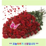 소중한 하루 - 📷예쁜움짤이미지(gif) - 💜산야와 한울타리💜 소중한 하루
