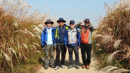 2015년10월25일 광주극락교 에서 자전거도로에서 걸어서 출발 나주 노안 곰탕집까지 곰탕한그릇 먹으로..... - 우리들의 이야기 - 세븐피그... 