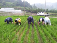수고 많으셨습니다^^ - 카페 앨범 - 정겨운 내동마을~~ 수고 많으셨습니다^^