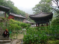 북한산 산행, 그리고 그 뒷이야기. - 회원 산행일지 - 목포녹색산악회 북한산 산행, 그리고 그 뒷이야기.