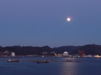 매립되는 마산만이 밤2013. 2. - 카페 앨범 - 혜당 박홍렬 매립되는 마산만이 밤2013. 2.