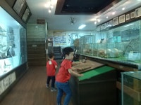 2014년5월23일금요일주필거미박물관(꿈밭&별꽃) - 2014년현장학습... 철산동 별꽃어린이집 2014년5월23일금요일주필거미박물관(꿈밭&별꽃)