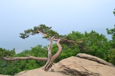 부천합동산악회 | 2012년/합사모/가을원정산행/축령산(남양주) - Daum 카페 2012년/합사모/가을원정산행/축령산(남양주)