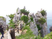 Re:옷은 더이상 세탁할 필요가 없다 - 자유 게시판 - 북평동번영회 Re:옷은 더이상 세탁할 필요가 없다