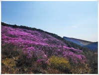 경남청녕 관룡산,화왕산 진달래산행(2019/04/13)＜용선대~관룡산~허준세트장＞ > 테마산행