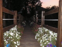 옥천휴게소 상행선 산책 - 앨범 - 대구아양초등8회동창회 옥천휴게소 상행선 산책