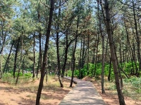 제54차 6월정기산행(6월13일)충남태안 해변길1코스(바라길)... 청주숲사랑산악회 제54차 6월정기산행(6월13일)충남태안 해변길1코스(바라길)