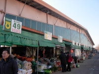 천성산 자연농원 | 진주시 농산물도매시장~백송가든점심식사.. - Daum 카페 진주시 농산물도매시장~백송가든점심식사..