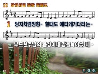 탕자처럼 방황할때도 ppt - p p t 찬 양 - .:+ 성림교회 . 성림인의 나눔터.:+ 탕자처럼 방황할때도 ppt