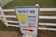 자비화 카페 | 40년간 가려졌던 대관령 하늘목장 - Daum 카페 40년간 가려졌던 대관령 하늘목장