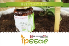 잎새버섯 그리포란 이야기 | 면역력에좋은식품 잎새버섯은 윤상철의 면역센터 좋아요 - Daum 카페 면역력에좋은식품 잎새버섯은 윤상철의... 