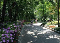 용인 아이들과 가볼만한 곳 -용인농촌테마파크 : 기획기사 : 경기도뉴스포털