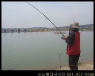 서신바다낚시터 4월 24일 화요일 조황 정보입니다.