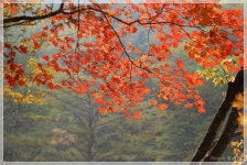 Re:Re:Re:Re:가을설악....풍경1 - 개인사진방 - 내사랑산야 Re:Re:Re:Re:가을설악....풍경1