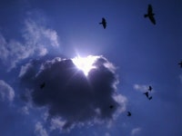 순흥안씨 안자미 시조묘 동영상 왕후장상(王侯將相) 안동옥 금도환국... 순흥안씨 안자미 시조묘 동영상 왕후장상(王侯將相) 안동옥 금도환국... 